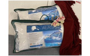 Angebot 251526